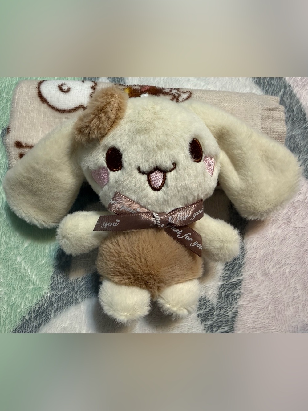🆕 Nwot Mocha Series Cinnamoroll Plush keychain